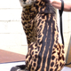 A king cheetah's spots.